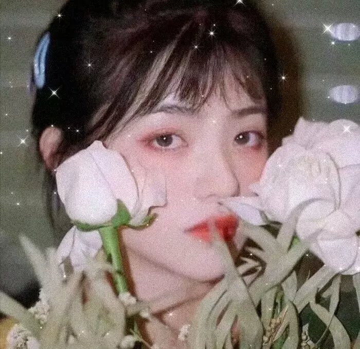 命运薄荷糖