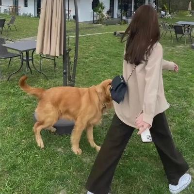美人计